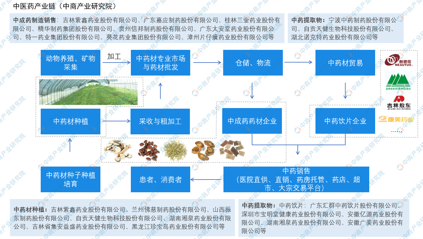 中医药产业链:2020年中国中药材种植面积将超6620万亩(图)